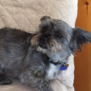 Meet your Posher, Faye